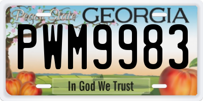 GA license plate PWM9983
