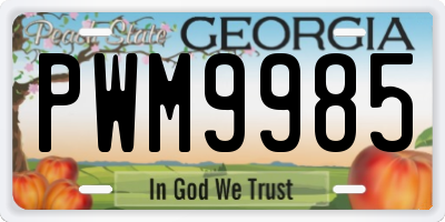 GA license plate PWM9985