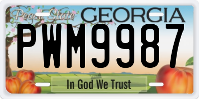GA license plate PWM9987
