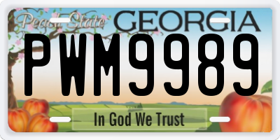 GA license plate PWM9989