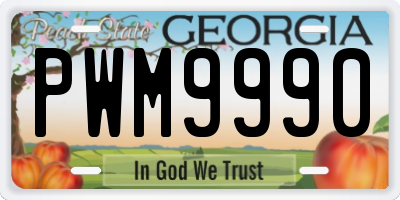 GA license plate PWM9990