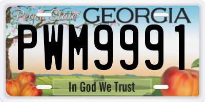 GA license plate PWM9991