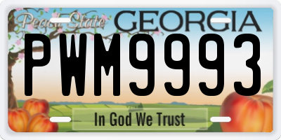 GA license plate PWM9993