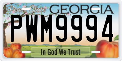 GA license plate PWM9994