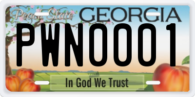 GA license plate PWN0001