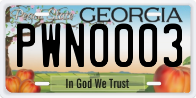 GA license plate PWN0003