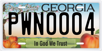 GA license plate PWN0004