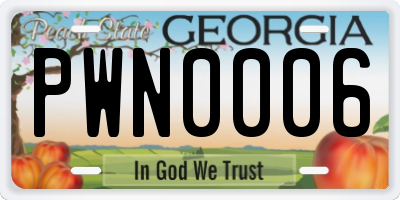 GA license plate PWN0006