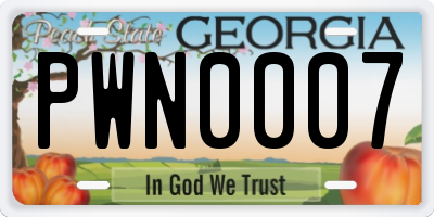 GA license plate PWN0007