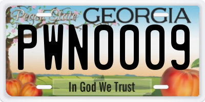 GA license plate PWN0009