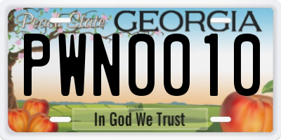 GA license plate PWN0010