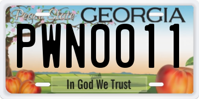 GA license plate PWN0011