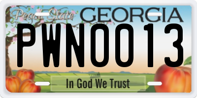 GA license plate PWN0013