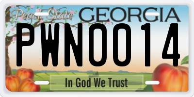 GA license plate PWN0014