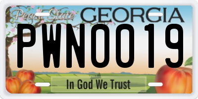 GA license plate PWN0019