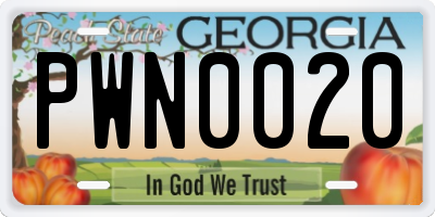 GA license plate PWN0020