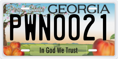 GA license plate PWN0021
