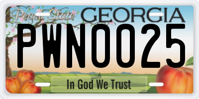 GA license plate PWN0025