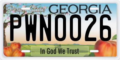 GA license plate PWN0026