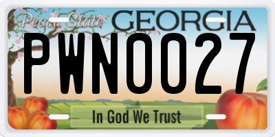 GA license plate PWN0027