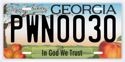 GA license plate PWN0030