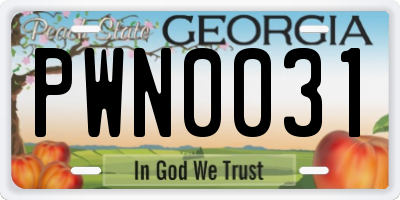 GA license plate PWN0031