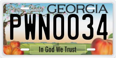 GA license plate PWN0034