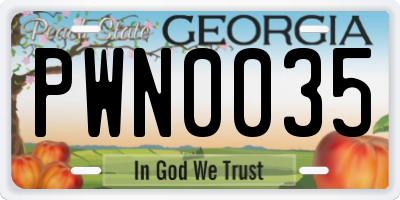 GA license plate PWN0035