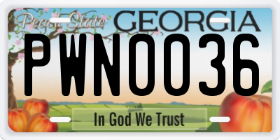GA license plate PWN0036