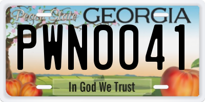 GA license plate PWN0041