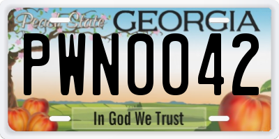 GA license plate PWN0042