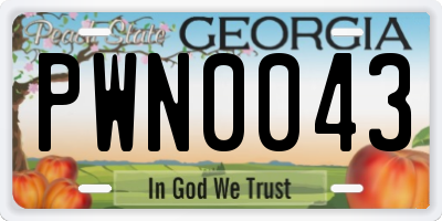 GA license plate PWN0043