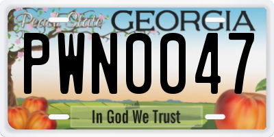GA license plate PWN0047