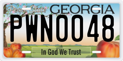 GA license plate PWN0048
