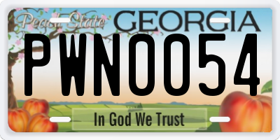 GA license plate PWN0054