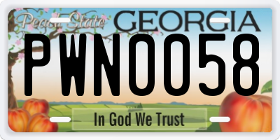 GA license plate PWN0058