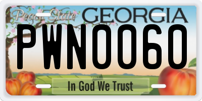 GA license plate PWN0060