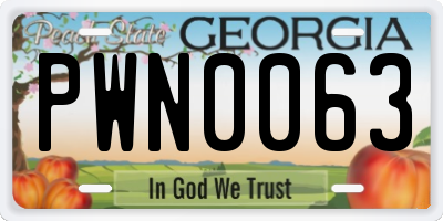 GA license plate PWN0063