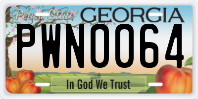 GA license plate PWN0064