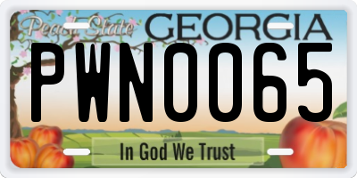 GA license plate PWN0065