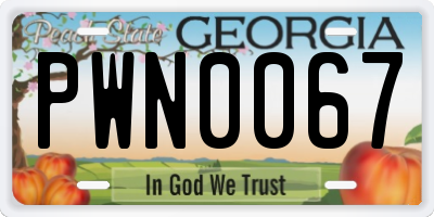 GA license plate PWN0067