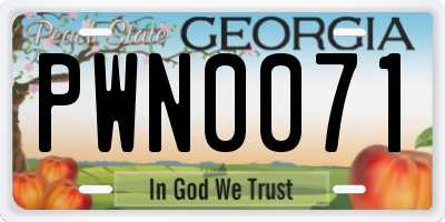 GA license plate PWN0071