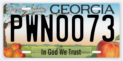GA license plate PWN0073