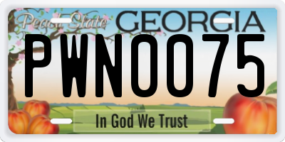 GA license plate PWN0075