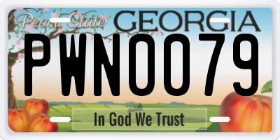 GA license plate PWN0079