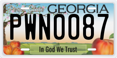 GA license plate PWN0087