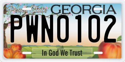 GA license plate PWN0102