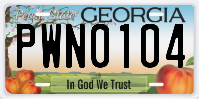 GA license plate PWN0104
