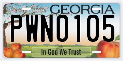 GA license plate PWN0105