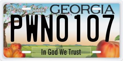 GA license plate PWN0107